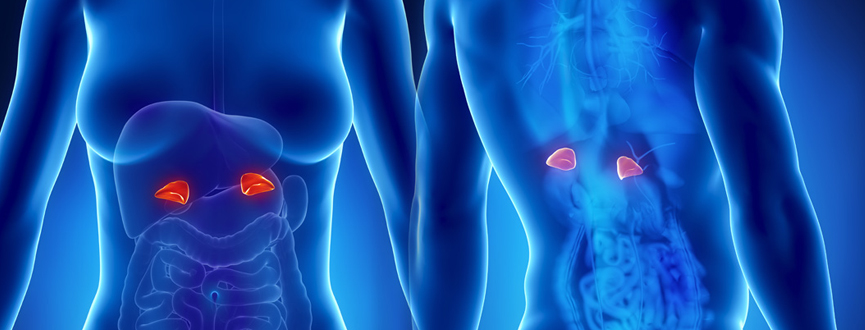 Endocrine Center in Dubai Endocrine Center in Dubai